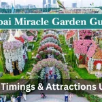 Dubai Miracle Garden Guide, Tickets, Timings & Attractions