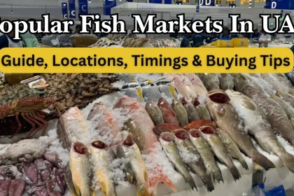 Popular Fish Markets In UAE