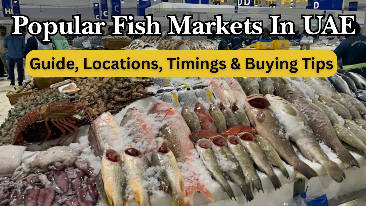 Popular Fish Markets In UAE