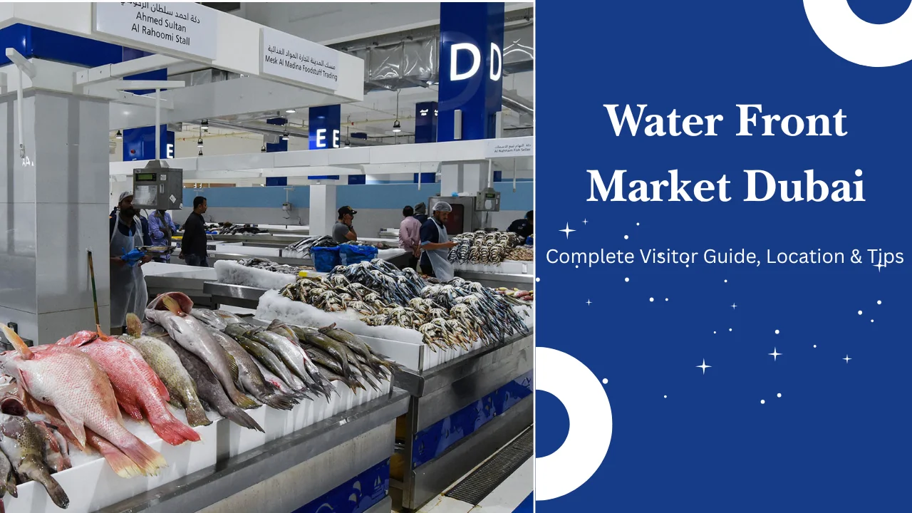 Water Front Market Dubai: Complete Visitor Guide, Location & Tips
