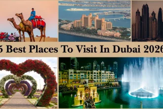 5 Best Places To Visit In Dubai 2026: Top Tourist Attraction