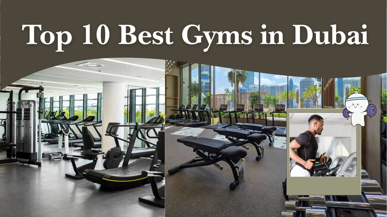 Top 10 Best Gyms in Dubai (2026 Guide to Fitness Centers & Affordable Options)