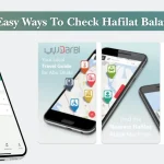 3 Quick & Easy Ways To Check Hafilat Balance Online!