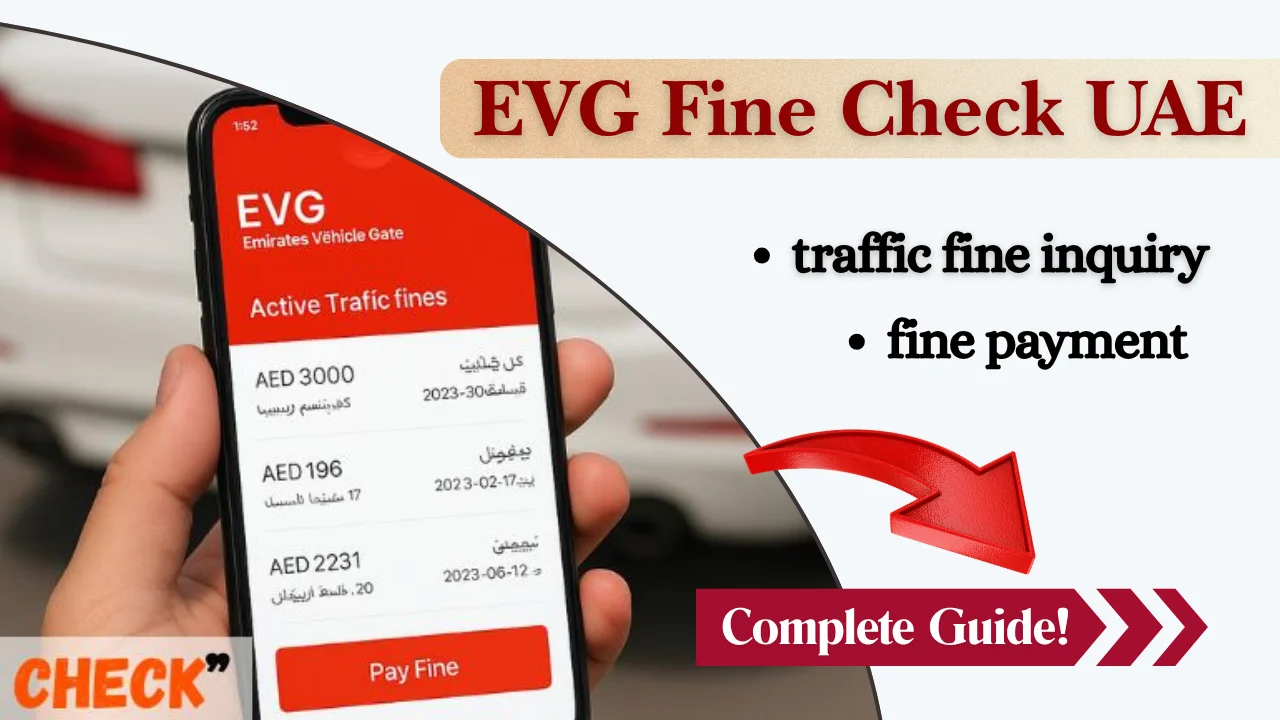 EVG Fine Check UAE, Complete Guide to EVG Traffic Fines Inquiry & Payment