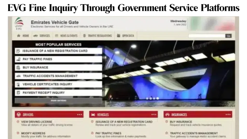 EVG Fine Inquiry Through Government Service Platforms