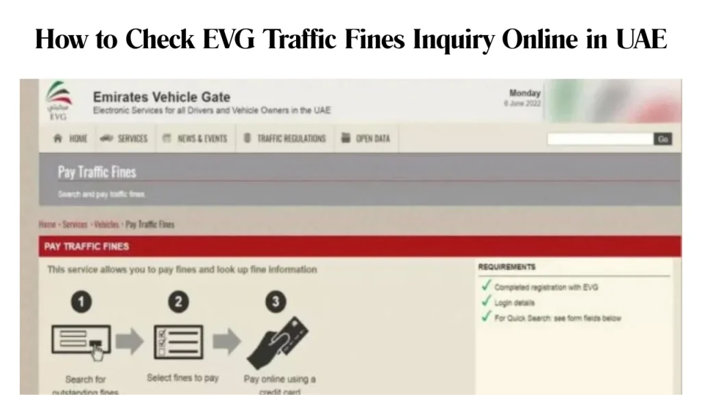 How to Check EVG Traffic Fines Inquiry Online in UAE